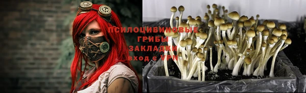 спиды Абдулино
