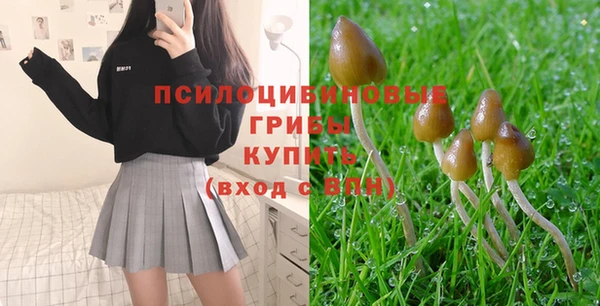 a pvp Алзамай