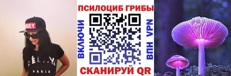 дарнет шоп  Сольцы  Псилоцибиновые грибы Cubensis 